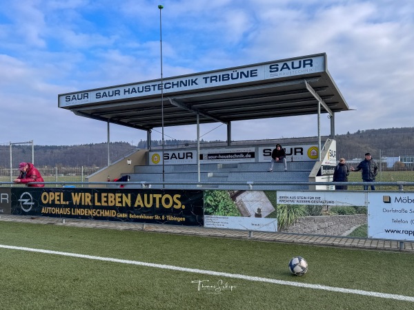 Sportanlage Bismarckstraße Platz 2 - Tübingen-Lustnau