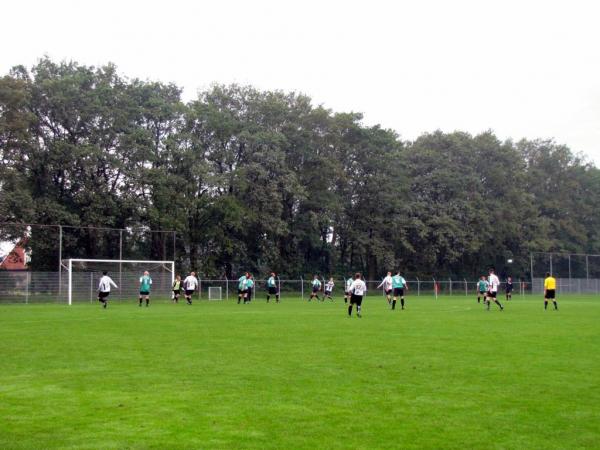 Sportpark Het Wooldrik veld 2-NEO veld 2 - Borne