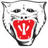 Wappen Vikersund IF