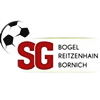 Wappen SG Bogel/Reitzenhain/Bornich IV (Ground A)
