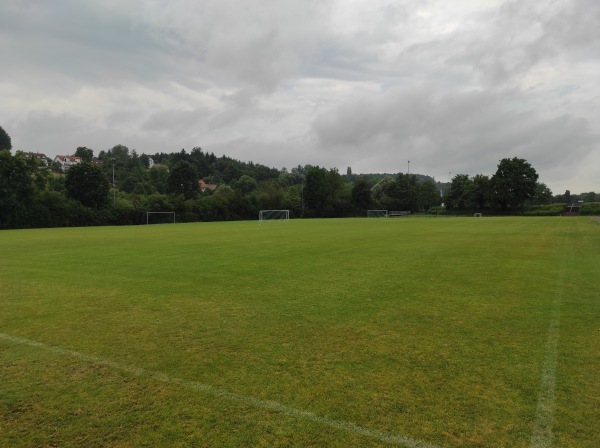 Cteam arena Nebenplatz 3 - Ravensburg