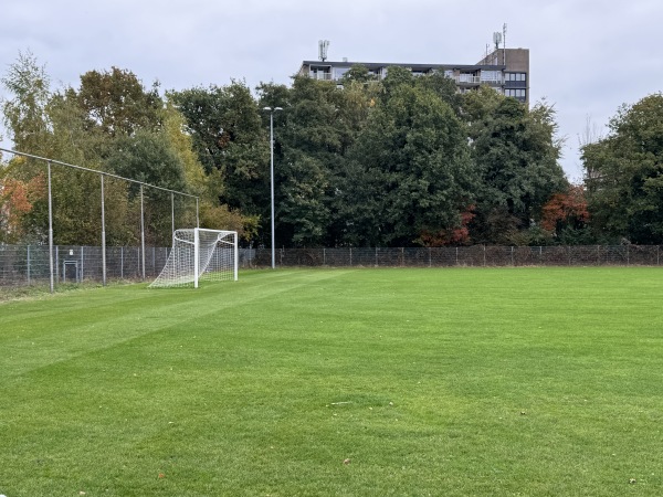Sportpark Wesselerbrink Zuid - FC Aramea trainingsveld - Enschede