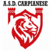 Wappen ASD Carpianese  122396