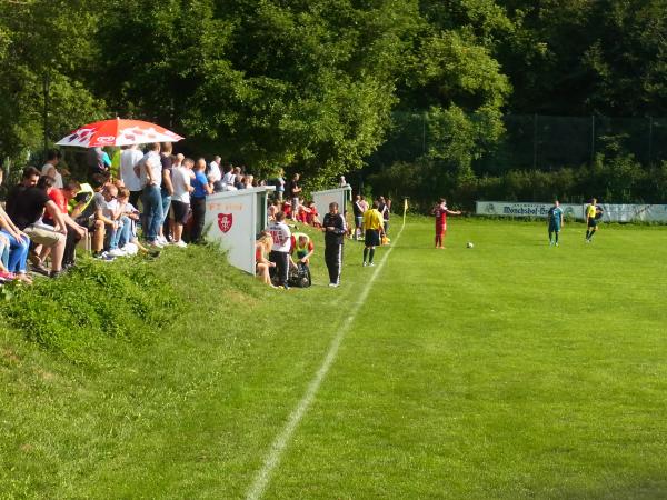 Sportanlage am Theresienstein - Hof/Saale