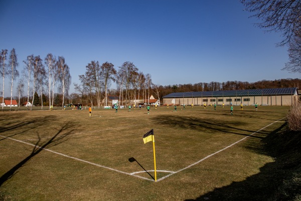 Otto-Gondeck-Stadion - Reichenbach/Oberlausitz-Meuselwitz