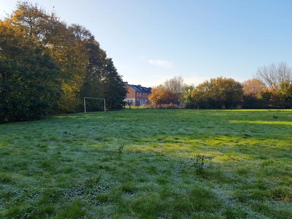 Sportanlage Borghorstweg - Münster/Westfalen-Gievenbeck