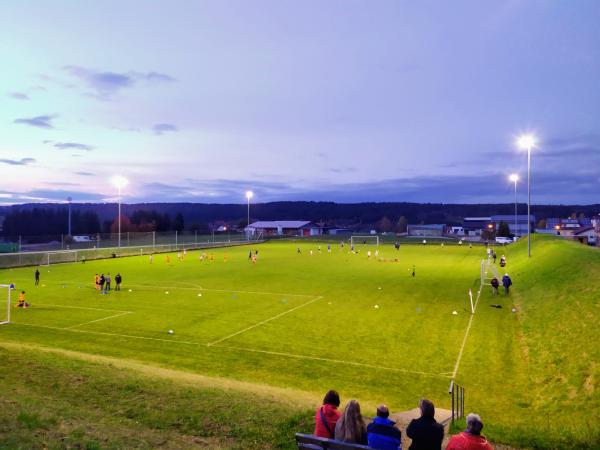 Sportanlage an der Bahn Platz 2 - Löffingen-Unadingen 