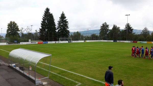 Sportanlage Waldegg Platz B - Horgen