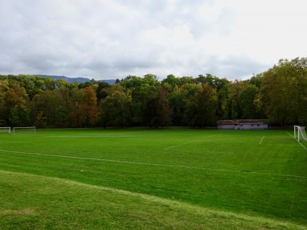 Centre Sportif du Bout-du-Monde terrain 3 - Genève