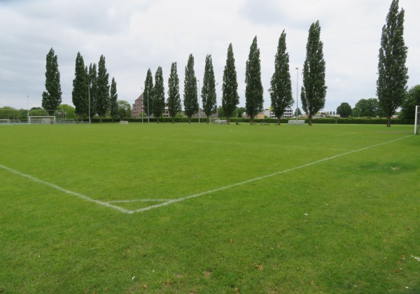 Sportpark Langenoord veld 3 - Hoogland