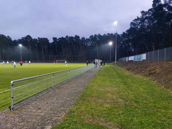 Waldstadion Nebenplatz - Erlenbach/Main