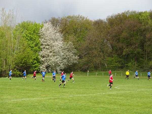 Toni-Wilschewski-Stadion - Kerpen-Manheim