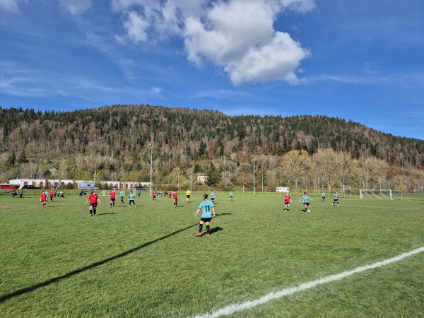Terrain de la Léchère - Couvet