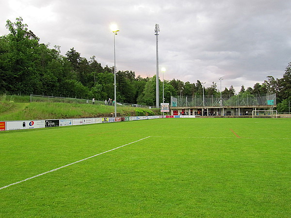 Terrain de Champ Rond - Bôle