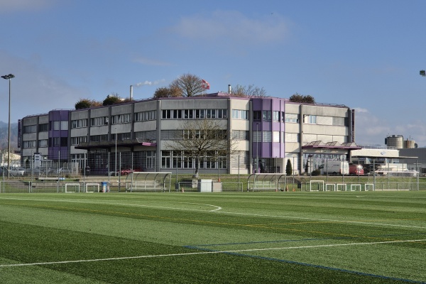 Sportanlage Barzloo Kunstrasenplatz - Pfäffikon ZH