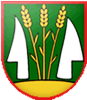 Wappen TJ FO Pataš