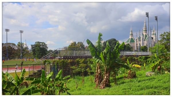 UP Diliman Football Field - Quezon City