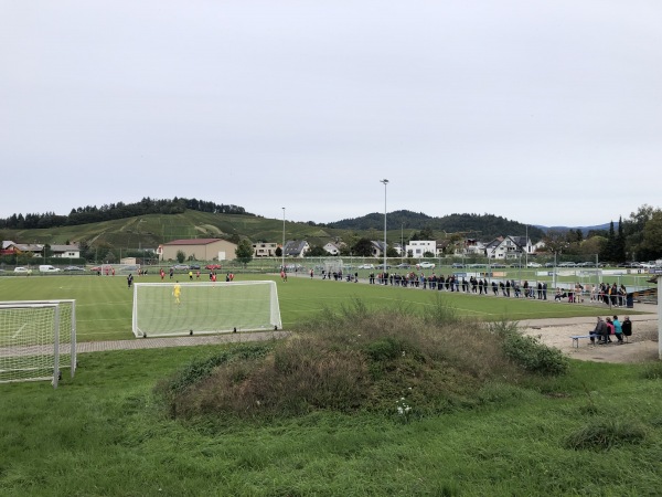 Sportanlage an der Elz Platz 2 - Waldkirch-Buchholz
