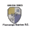 Wappen Uniao Flamengo Santos Wappen Uniao Flamengo Santos