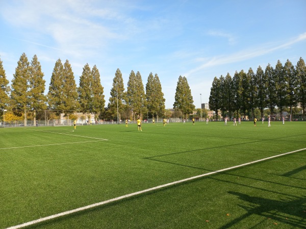 Graaf Huyn Sportcomplex veld 2 - Sittard-Geleen