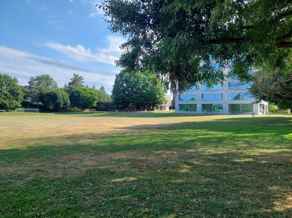 Stadion Hard Nebenplatz Weststrasse - Langenthal