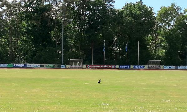 Albert-Pürsten-Stadion - Espelkamp