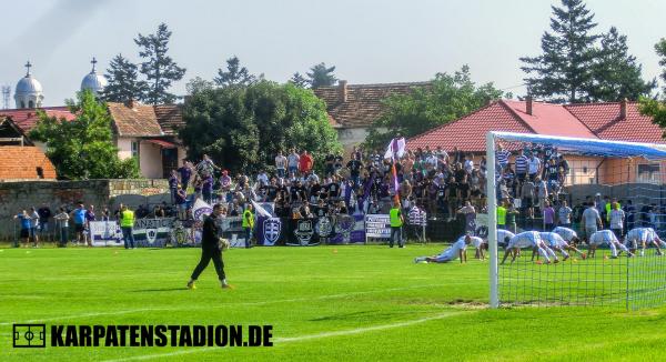 Stadionul Emilian Pavel - Ghiroda