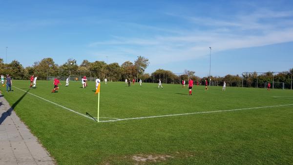 Sportpark De Prelaat veld 2 - Veere-Westkapelle