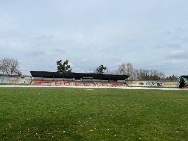 Stadion Boreks - Borodianka