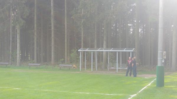 Waldsportplatz - Hartmannsdorf-Reichenau
