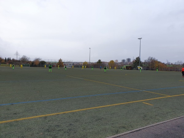 Sport- und Spielzentrum Lehmgrube Platz 2 - Ditzingen