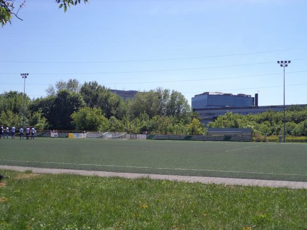 Boisko Jadwiżański w Poznań - Poznań