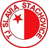 Wappen TJ Slavia Stachovice