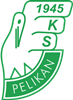 Wappen KS Pelikan Łowicz