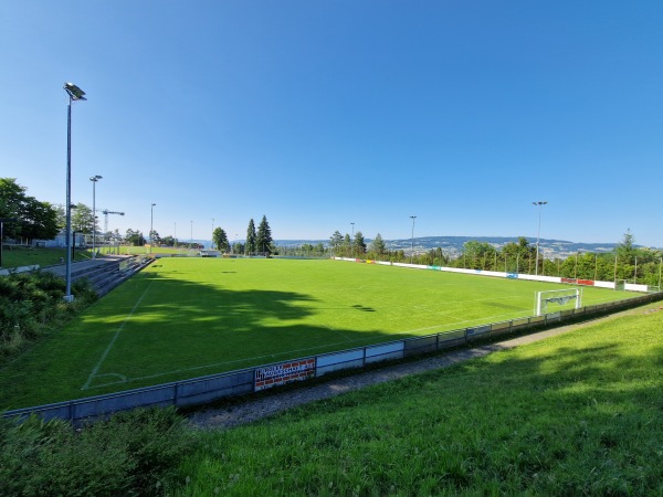 Sportanlage Waldegg Platz B - Horgen