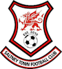 Wappen Saltney Town FC