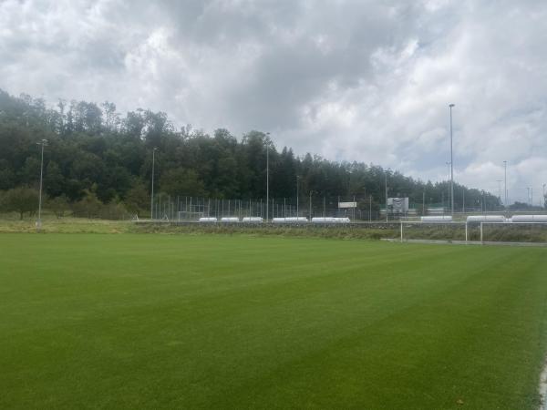 Sportanlage Buchlern Platz 4 - Zürich