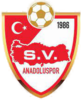 Wappen Koblenz Anadoluspor 1986  23663