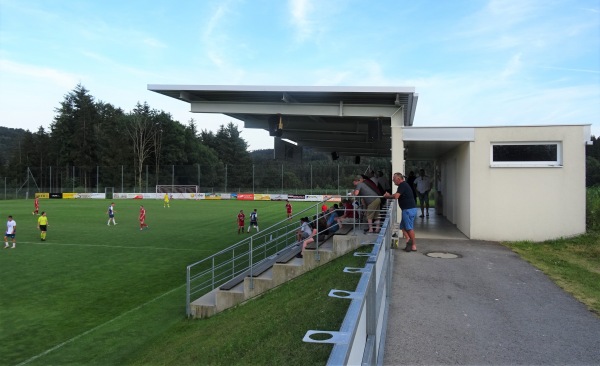 Tischlerei Grömmer Stadion - Sankt Roman