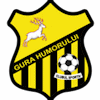 Wappen CS Gura Humorului  13767