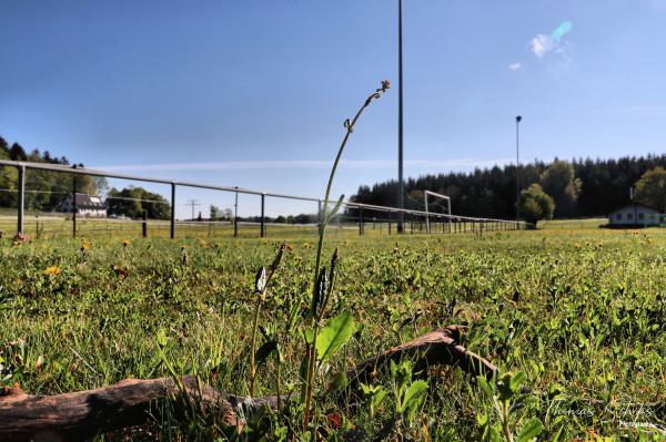 Sportplatz Michelfeld - Meßstetten-Oberdigisheim