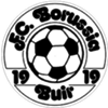 Wappen FC Borussia Buir 1919