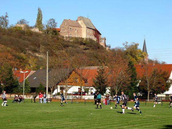 Blick zum Schloss