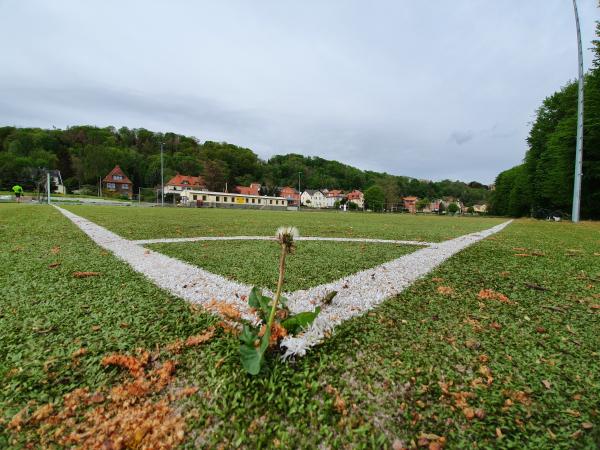Sportplatz Jugendwiese 2 - Meißen