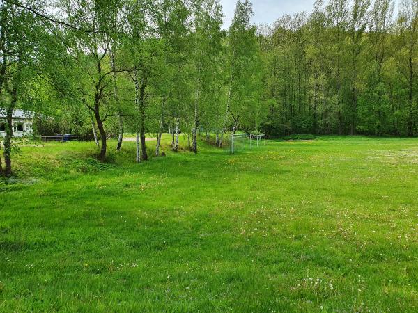 Sportplatz an der Müglitztalstraße - Altenberg/Erzgebirge-Bärenstein