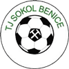 Wappen TJ Sokol Benice  102836