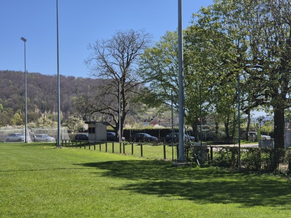 Sportplatz Hörnli - Basel
