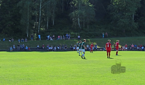 Sportplatz Hengnau - Wasserburg/Bodensee-Hengnau