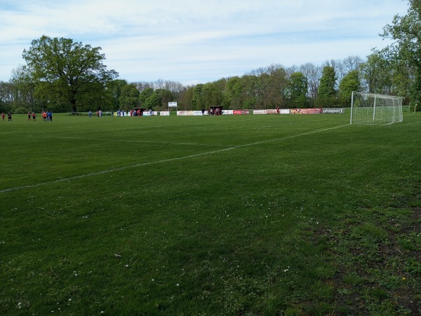 Sportplatz Trinum - Osternienburger Land-Trinum