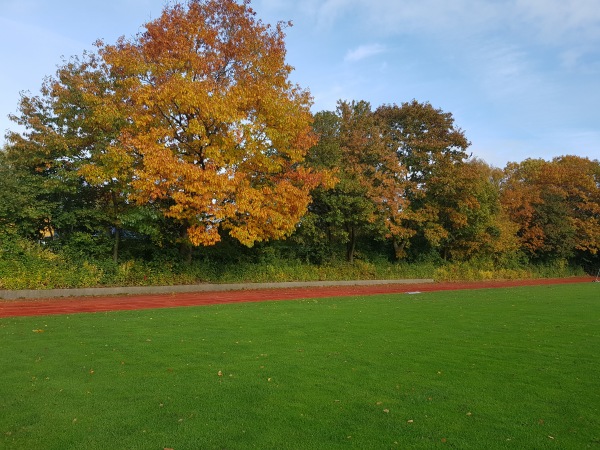 Sportplatz Dietrich-Bonhoeffer-Schule - Kaltenkirchen
